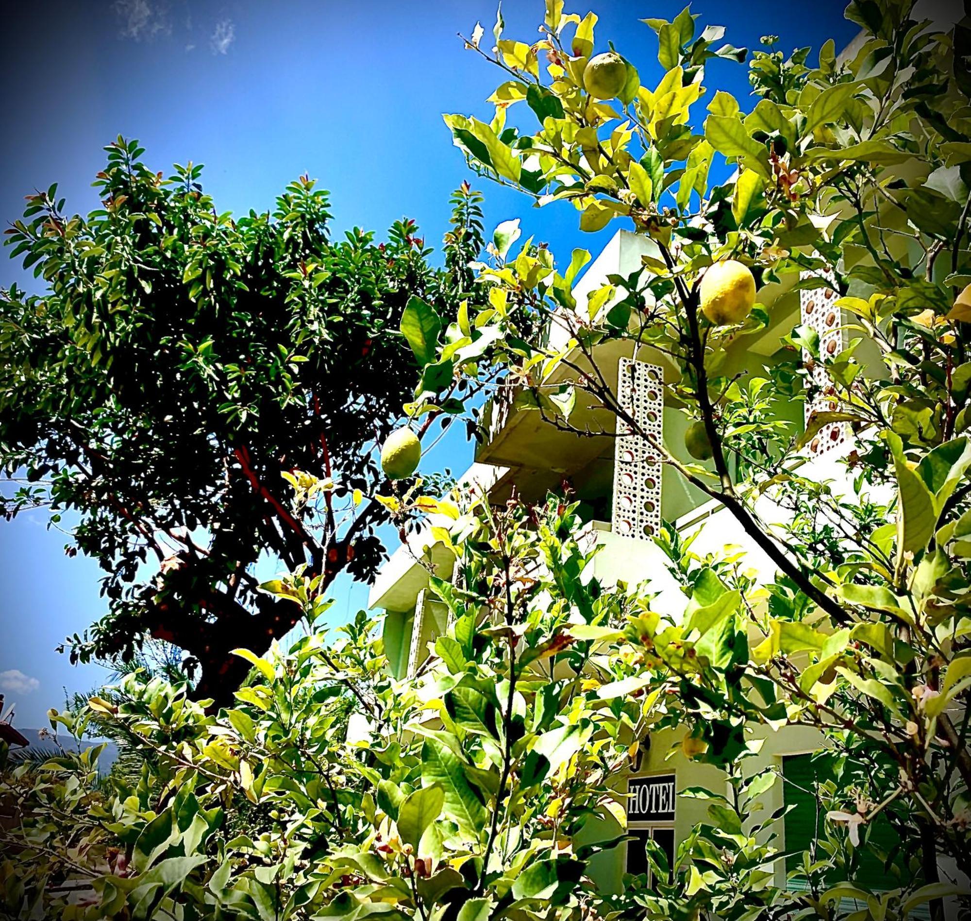 Hotel Splendor Tortolì Buitenkant foto